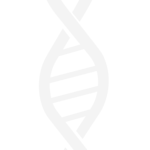 Gut Inflammation (60 Capsules) (Stable BPC-157, KPV, PEA, Tributyrin)